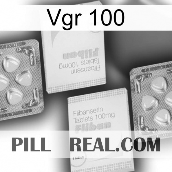 Vgr 100 33.jpg